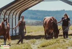 Shelter Logic Abri Souple Pour Animaux En Polyéthylène 49,6 M² 10 Shelter Logic Abri Souple Pour Animaux En Polyéthylène 49,6 M² -Abri et rangement boutique abri chevaux polyethylene 49m2