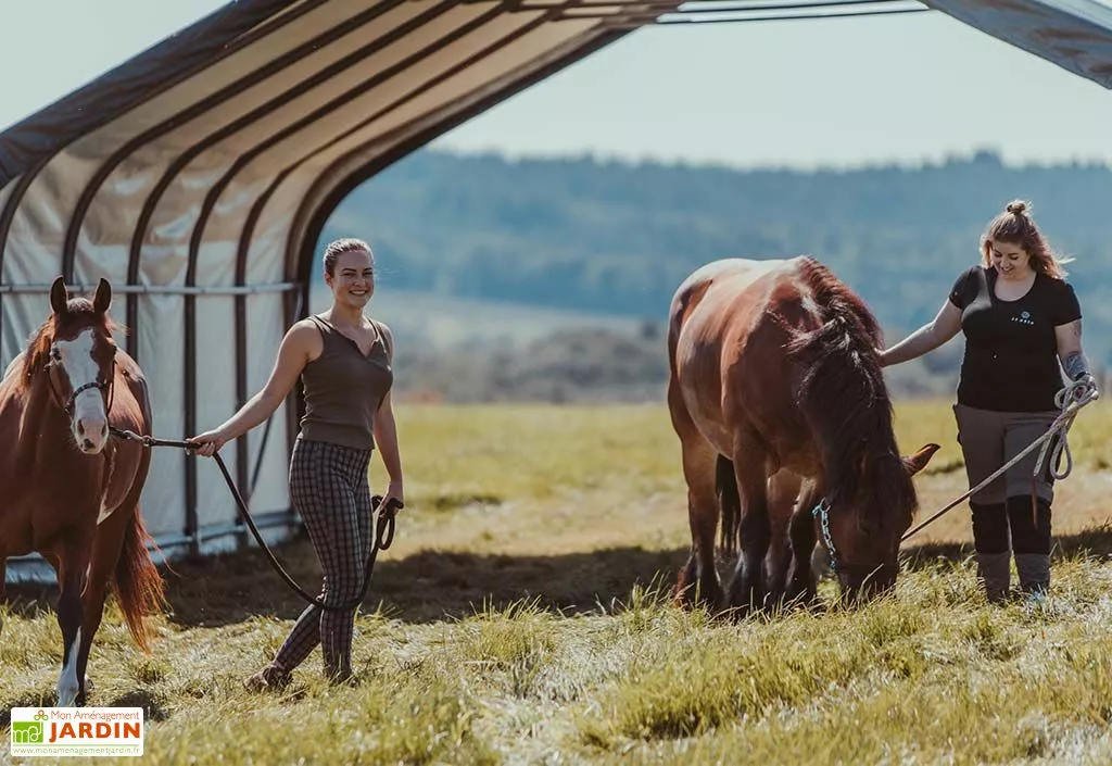 Shelter Logic Abri Souple Pour Animaux En Polyéthylène 49,6 M² 5 Shelter Logic Abri Souple Pour Animaux En Polyéthylène 49,6 M² – Image 3