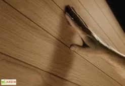 Abri De Jardin Keter En Résine Aspect Bois 5 M² Woodium 757 -Abri et rangement boutique abri jardin keter resine imitation bois 20mm 5m2 plancher inclus 1