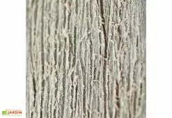 Chalêt-Jardin Armoire Haute Brossium En Résine (140 X 73,6 X 170) -Abri et rangement boutique armoire jardin brossium chalet jardin effet bois vieilli 1